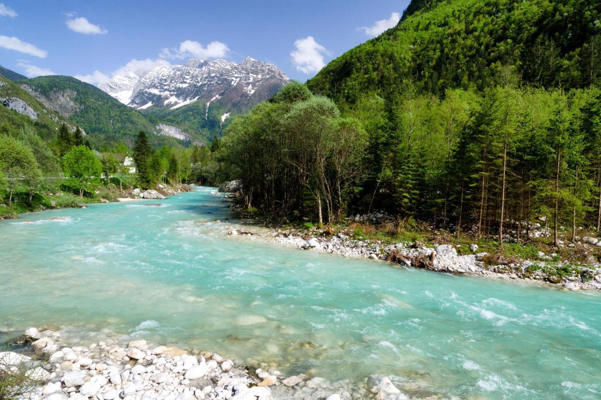 House By The Stream - Happy Rentals Avce 外观 照片