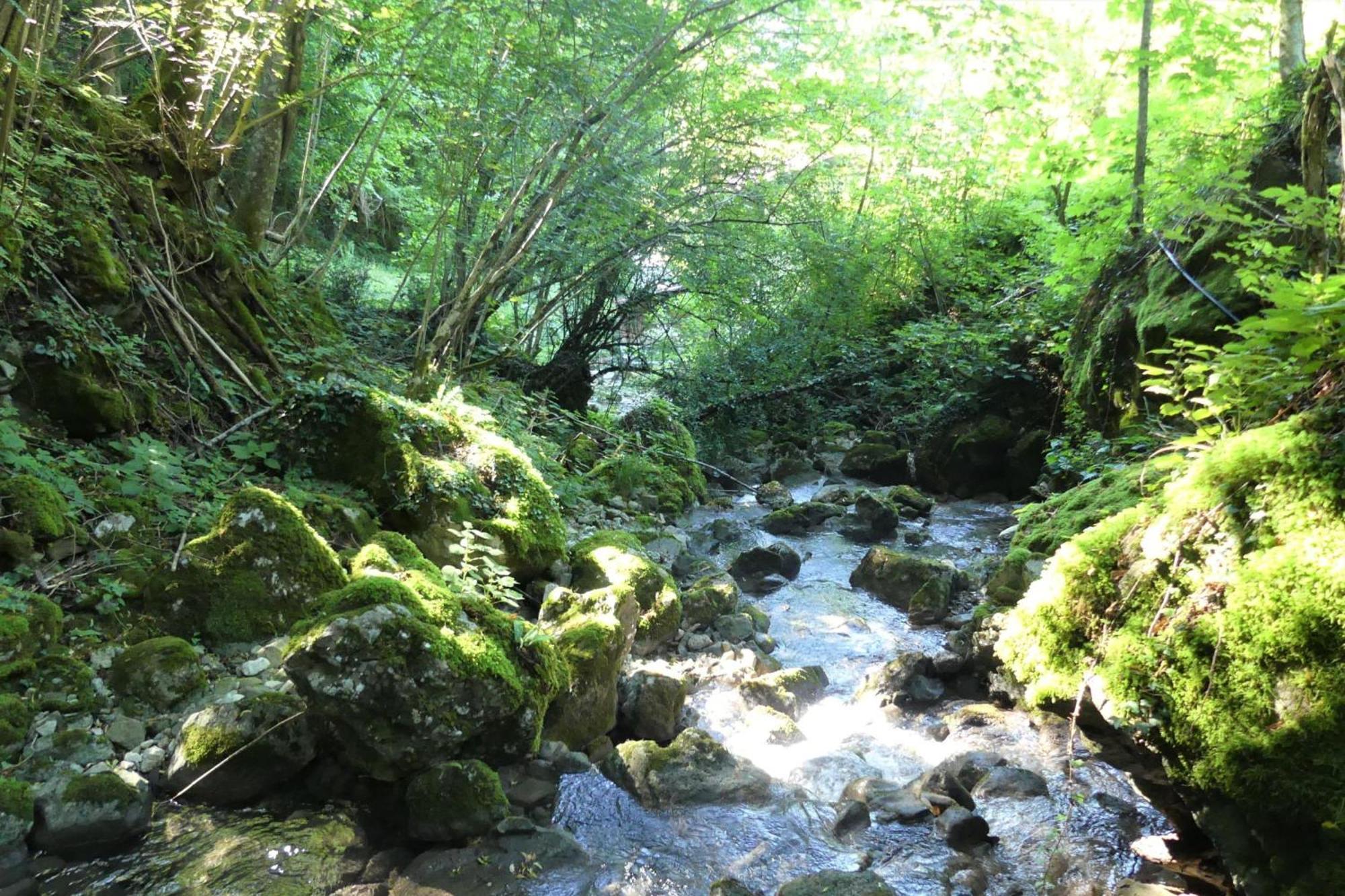 House By The Stream - Happy Rentals Avce 外观 照片