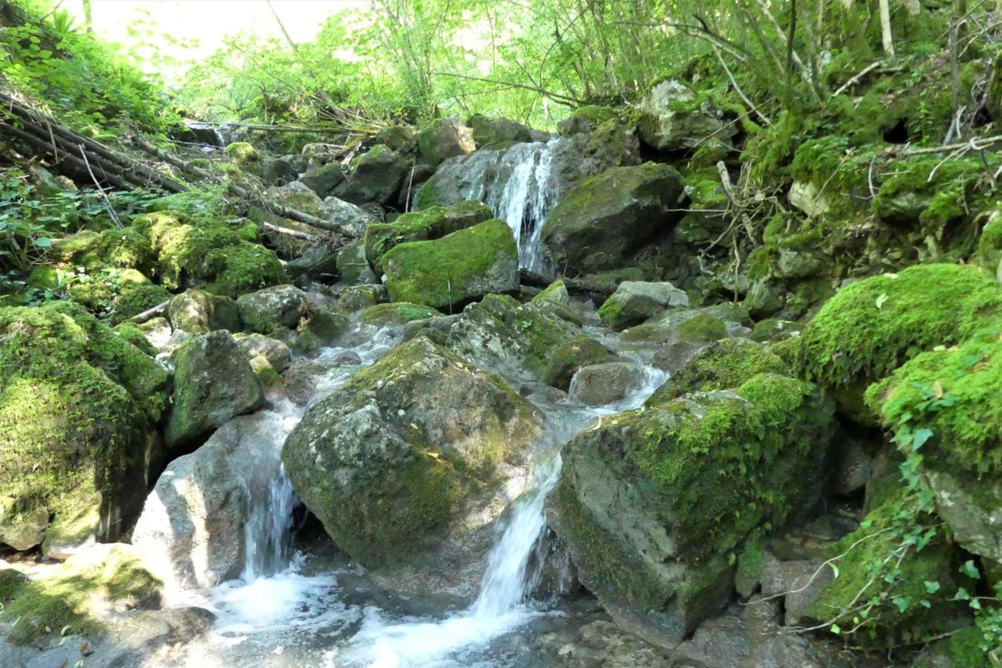 House By The Stream - Happy Rentals Avce 外观 照片