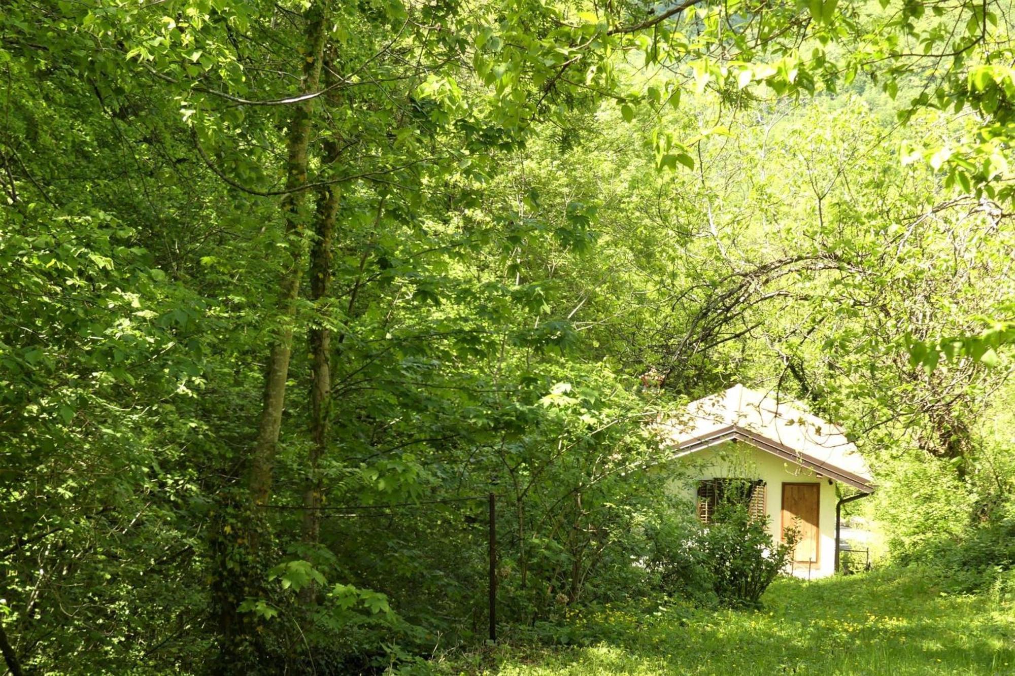 House By The Stream - Happy Rentals Avce 外观 照片
